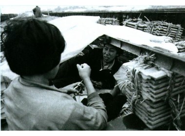 两位来自山东郯城的妇女，为避风雨就用车上装运的瓦搭一个小窝棚