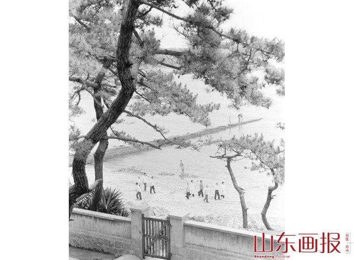 疗养圣地青岛