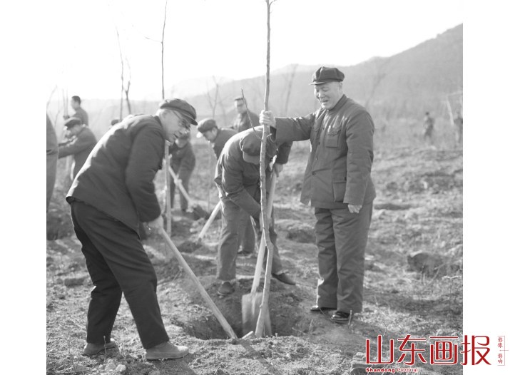 省委领导军区领导参加植树活动