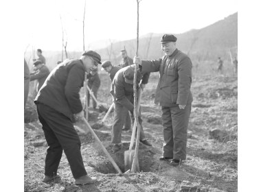 省委领导军区领导参加植树活动