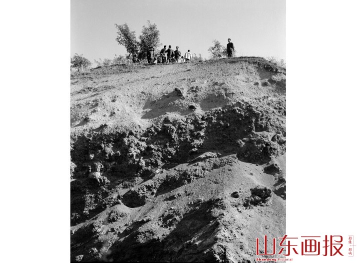 山旺化石现场会