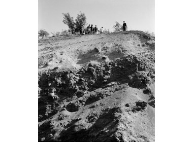 山旺化石现场会