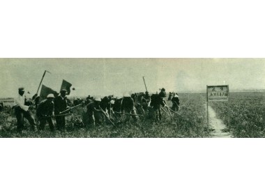 范县县委第一书记谢惠玉同志和苏村大队共同收刨花生