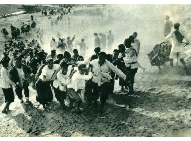 向大坝运土