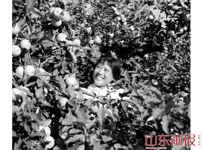 黄河