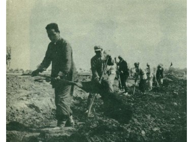 刘秀印等又在深翻土地