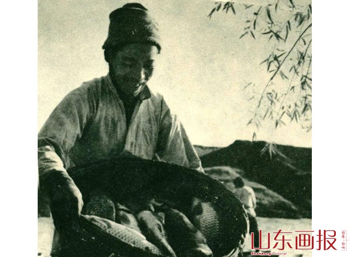 搞副业