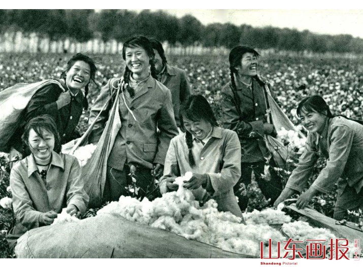 喜获丰收