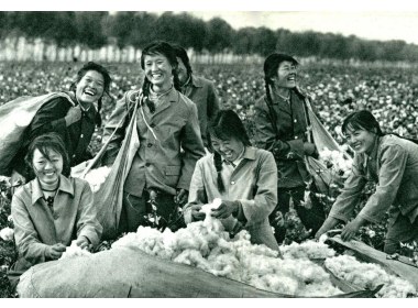 喜获丰收