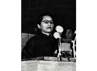 在世界人民和平大会上发言