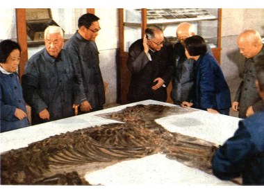 地质古生物学家和古人类学家们在临朐县参观