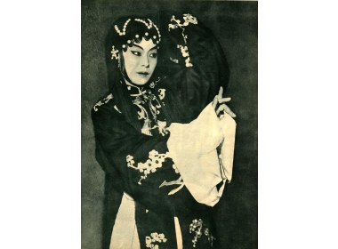 王培仙