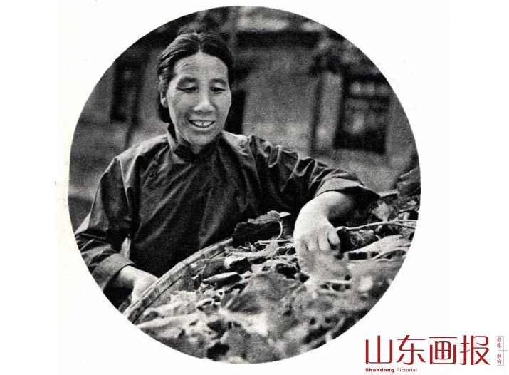 赵兰英