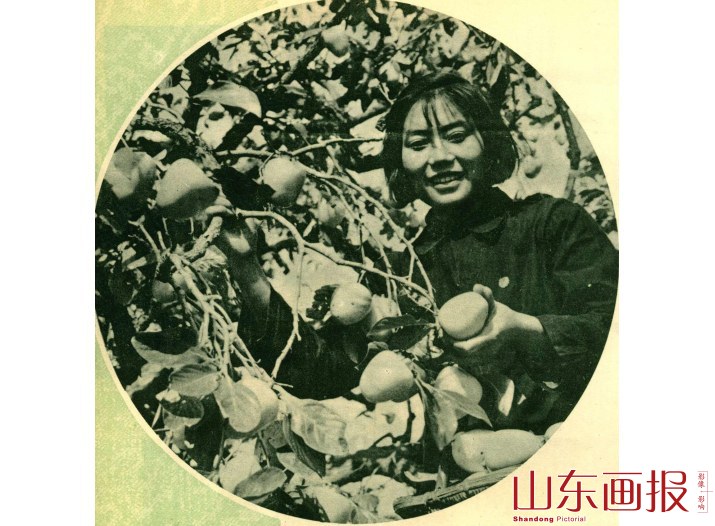 王玉兰
