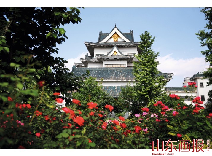 绿树掩映中的潍坊市博物馆