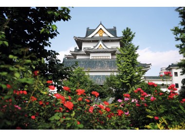 绿树掩映中的潍坊市博物馆