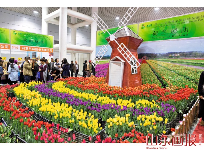 第十八届中国（寿光）国际蔬菜科技博览会盛大开幕