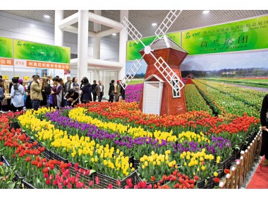 第十八届中国（寿光）国际蔬菜科技博览会盛大开幕