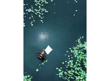 魅力荷园