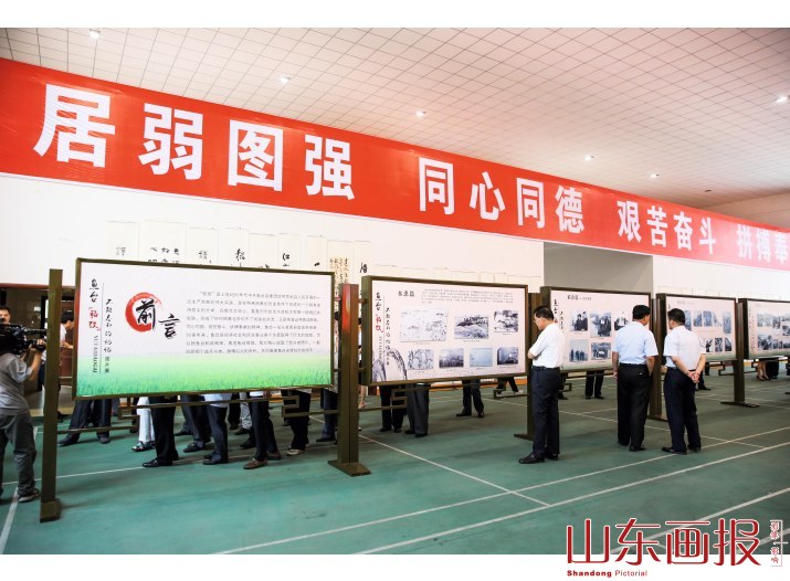 鱼台“稻改”图片展