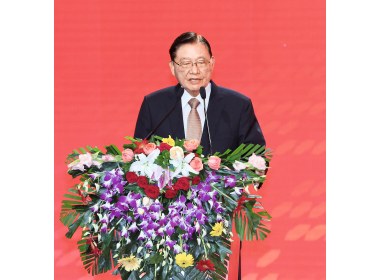 台湾海峡两岸经贸文化交流协会会长江丙坤