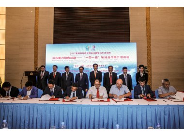 山东活动周签约