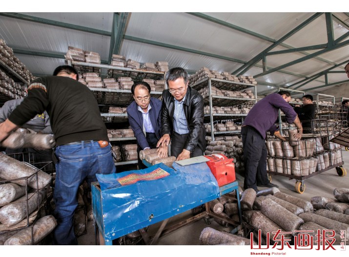 传授黑木耳种植技术，为群众增加了收入