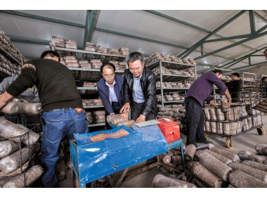 传授黑木耳种植技术，为群众增加了收入