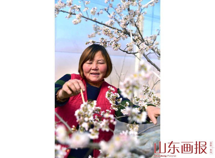 山东枣庄：农勤春早  “立春”农忙