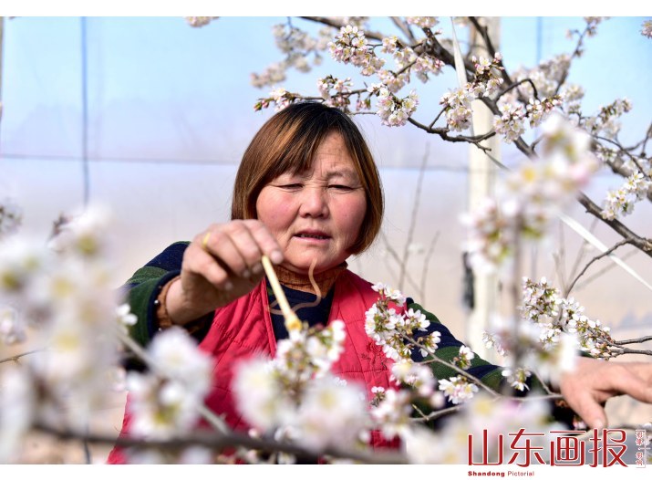山东枣庄：农勤春早  “立春”农忙
