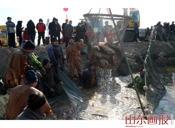 山东垦利冬捕“捞”年味