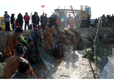 山东垦利冬捕“捞”年味