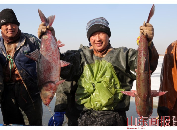 山东垦利冬捕“捞”年味