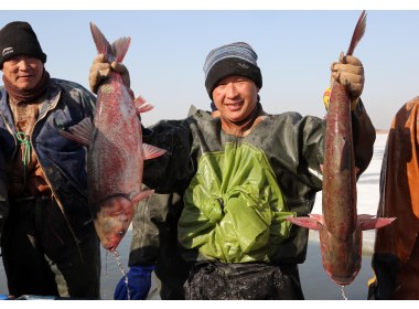 山东垦利冬捕“捞”年味