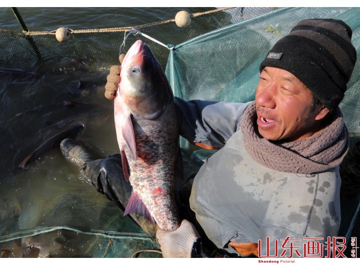 山东垦利冬捕“捞”年味