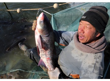 山东垦利冬捕“捞”年味