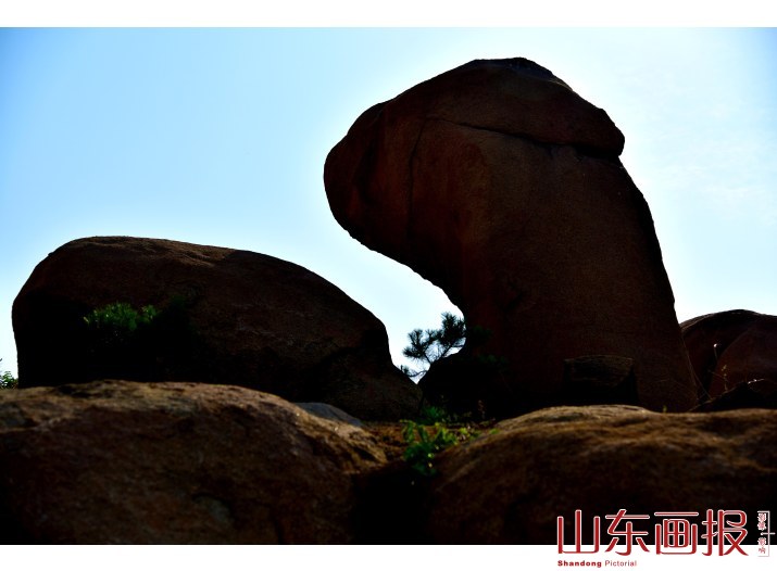 山东枣庄：旱海石林 鬼斧神工