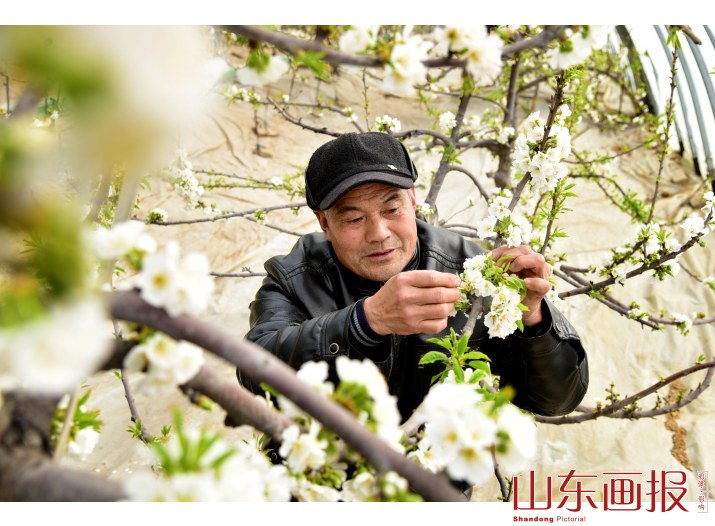 山东枣庄：气温回升“雨水”到 新春伊始农事忙