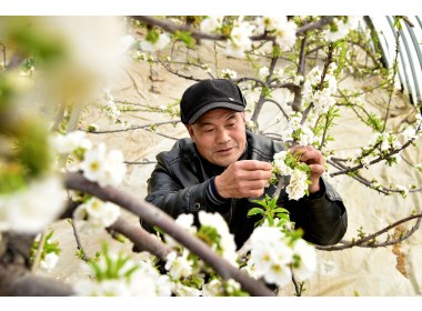 山东枣庄：气温回升“雨水”到 新春伊始农事忙