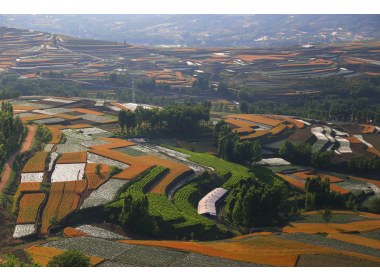 荒山变彩田4-2