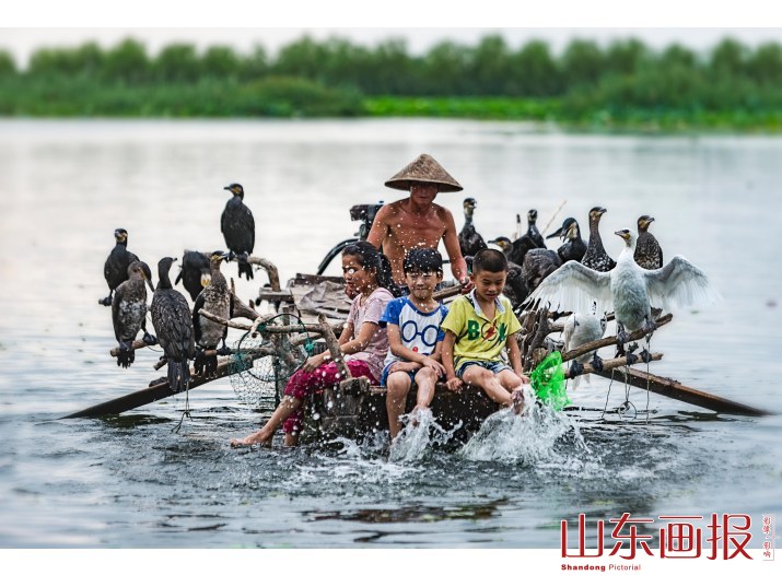 欢快的浪花