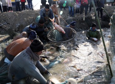 山东垦利冬捕“捞”年味