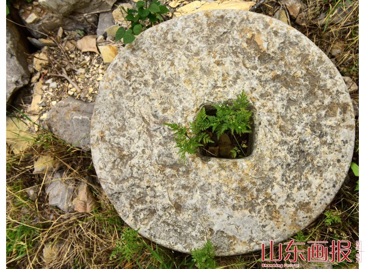 山东枣庄：探访藏着乡愁的“石头村”
