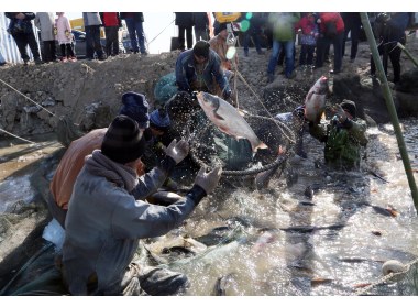 山东垦利冬捕“捞”年味