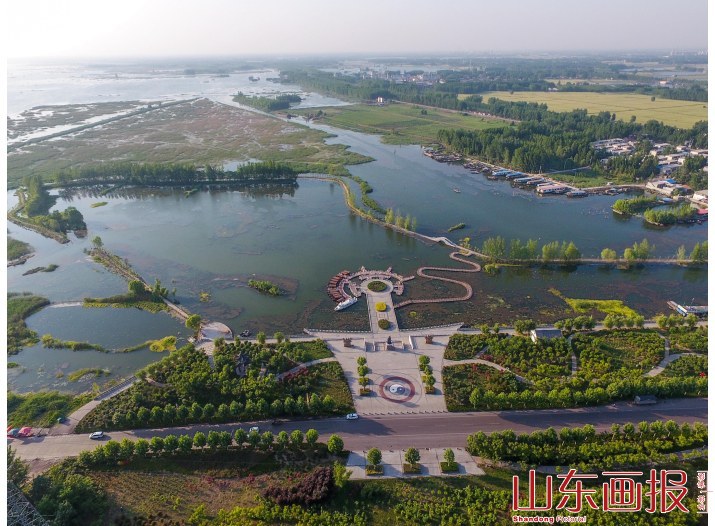 微山湖二级坝湿地