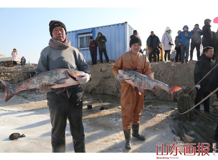 山东垦利冬捕“捞”年味