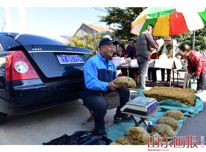 开着轿车来卖货