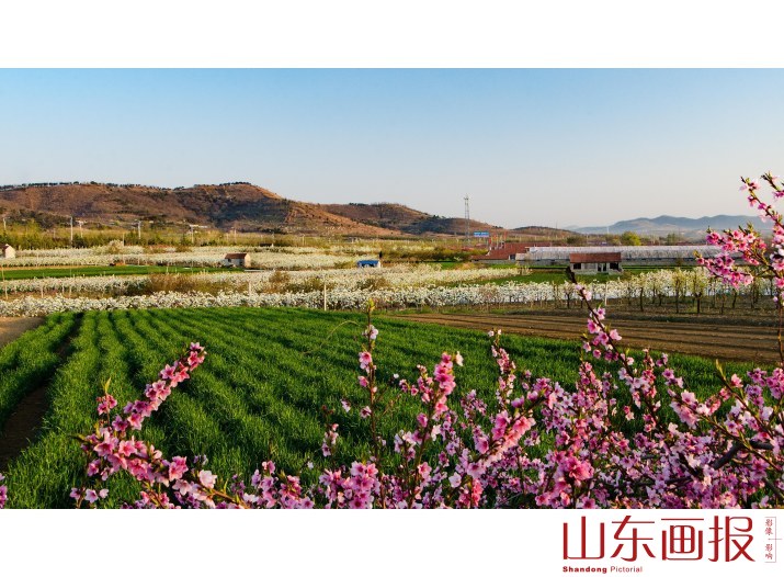 《春满大地》