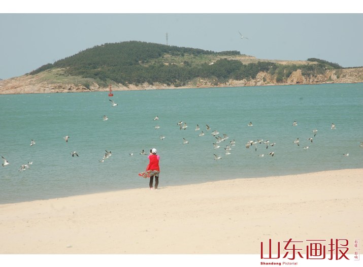 拍鹭