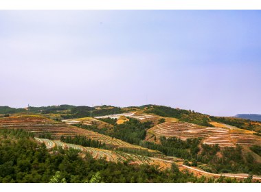 麦收季节